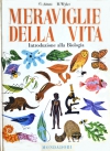 cover1