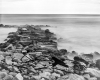 Albe02
