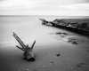 Albe04