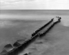 Albe05