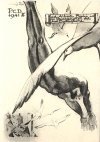 01bisdominioni