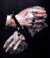 Wolfango15